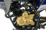 motocross-250cc-pitbike motor detail