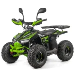 Štvorkolka ASIX MUDDY 110 ccm – Obrázok 2